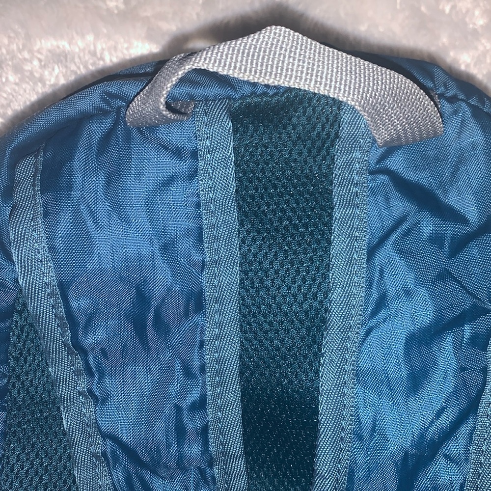 🎁Like New UNISEX Eddie Bauer Blue Stowaway 20lb Backpack - Picture 9 of 12